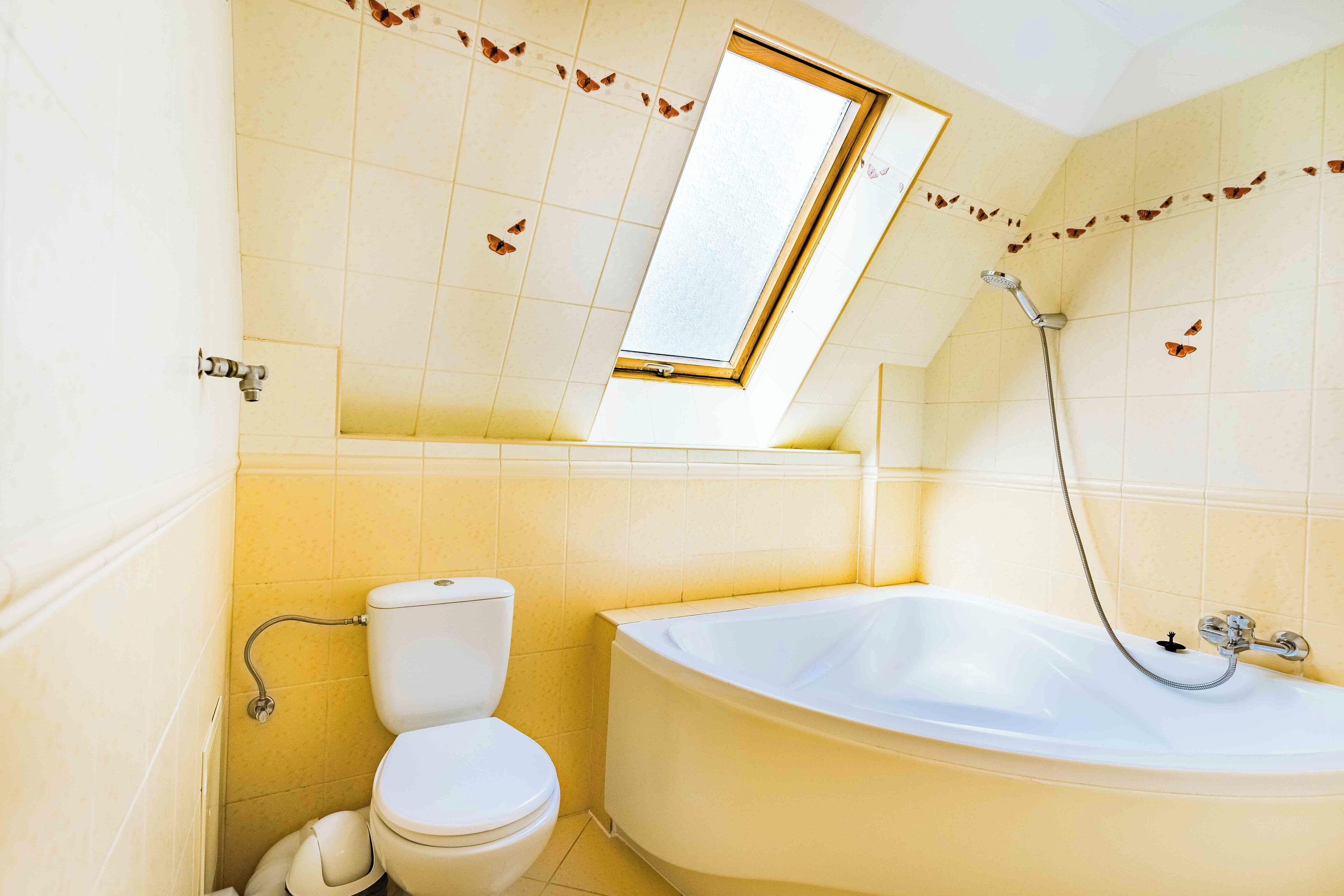 A bathroom with a skylight, a bathtub, and a toilet.