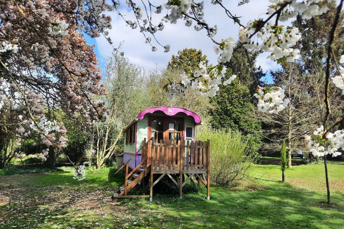 A wooden playhouse with a pink roof and a staircase leading up to it, surrounded by trees and grass.
