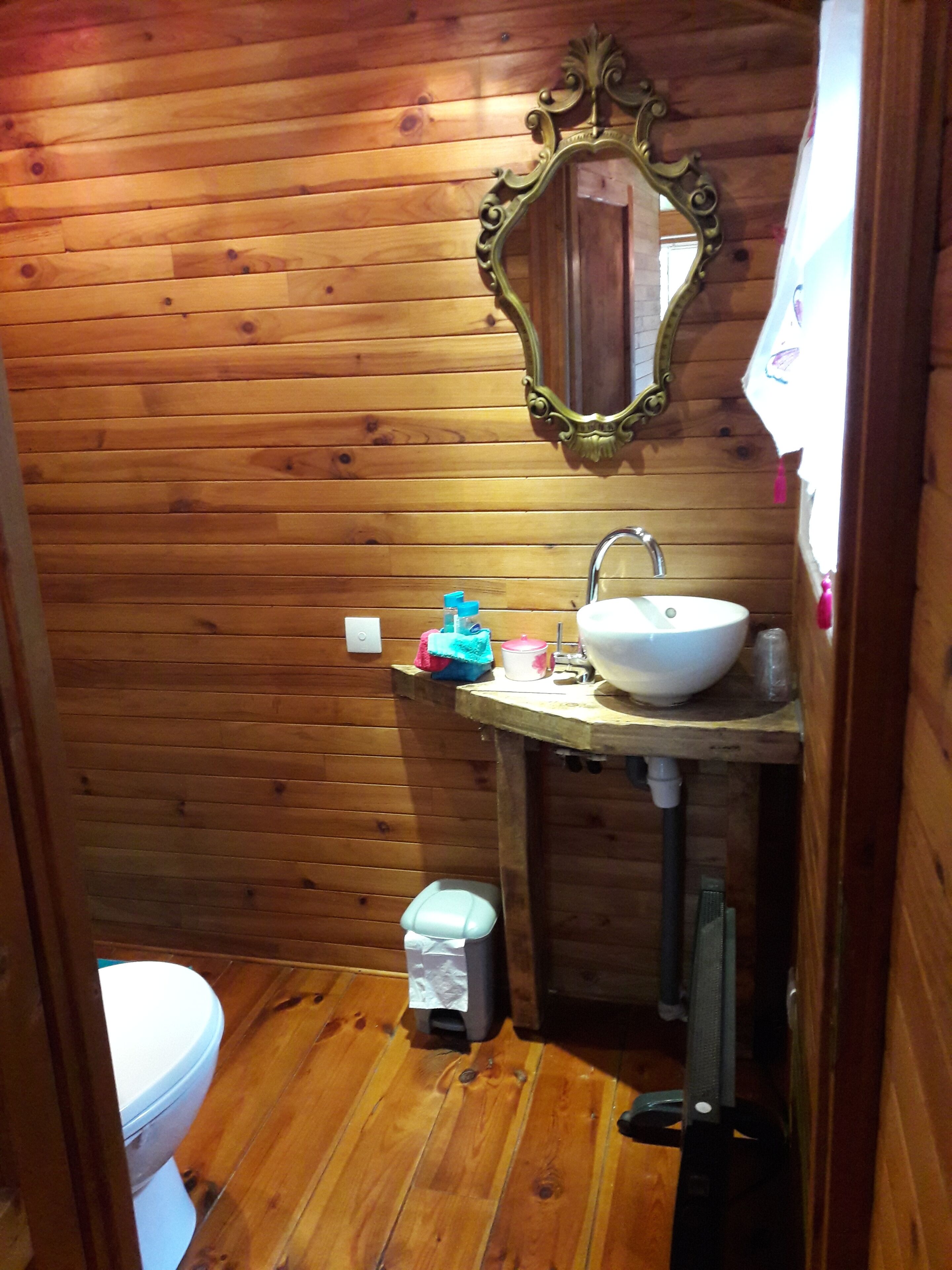 A wooden-paneled bathroom with a white sink, a mirror, and a toilet.