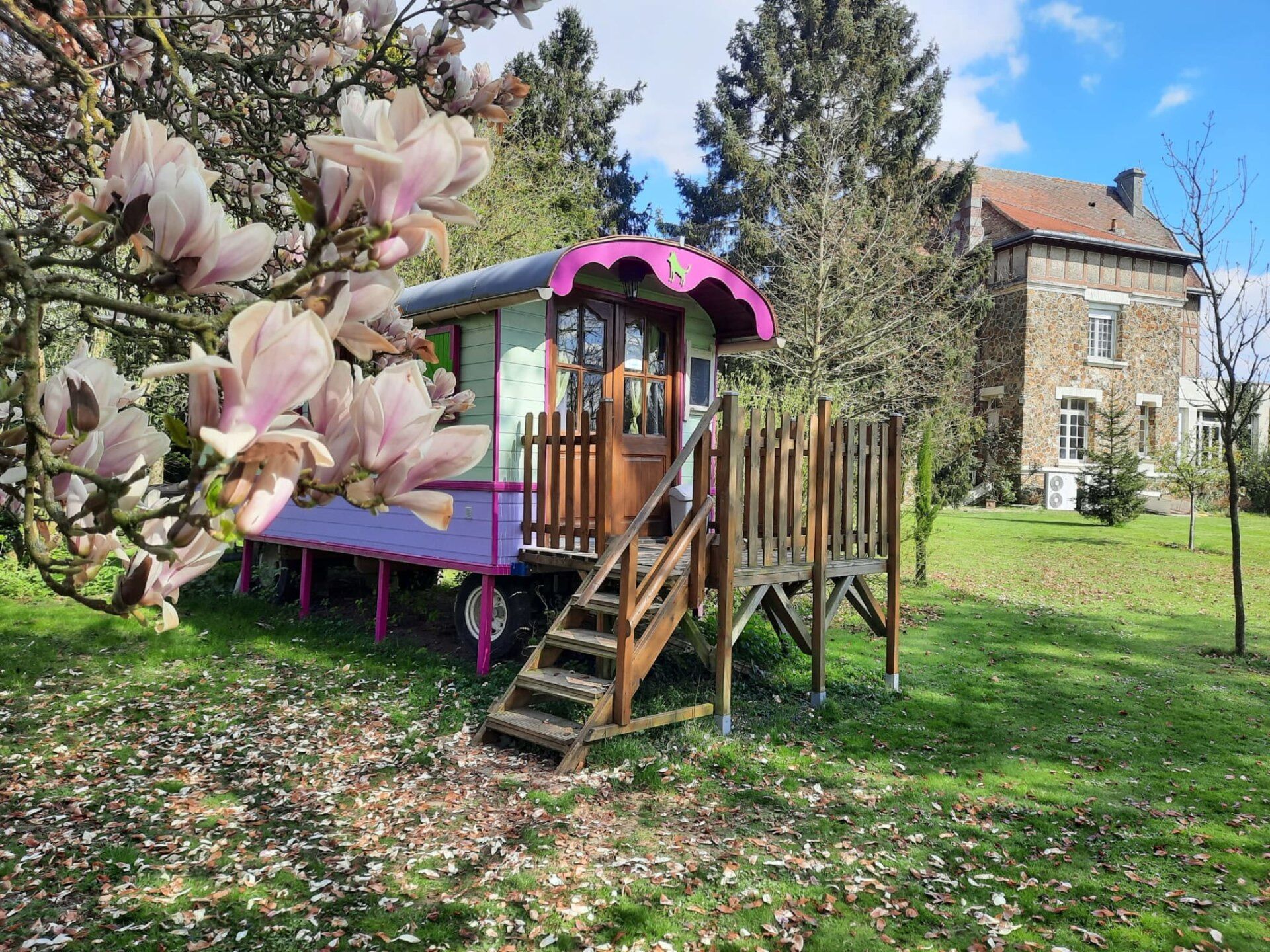 Basic Room, Patio, Garden View