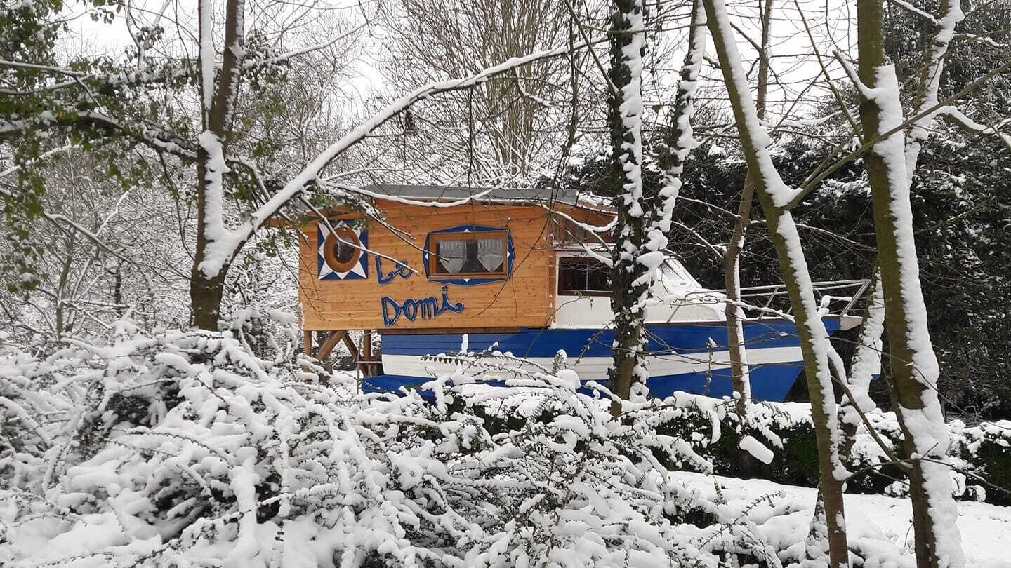 Una cabaña de madera con un letrero que dice "Domi" en un paisaje nevado de bosque.