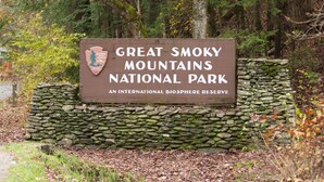 Property grounds - Happy Trails- easy access, 3 minute drive to Pigeon Forge (Pigeon Forge)