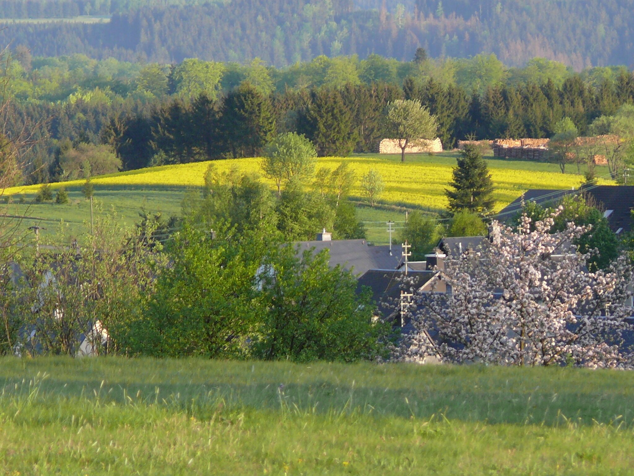 Un paisaje rural con campos, árboles y algunos edificios.