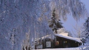 A cabin with a snow-covered roof, surrounded by trees and a snowy landscape. - Breakfast on the balcony with Treehouse vibe, garden, barbecue, reservoir, thermal spa (Nordhalben)