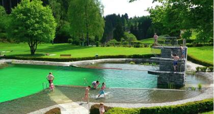 Beautiful apartment in the countryside, 2 balconies, fireplace room, near dam, hiking, thermal baths