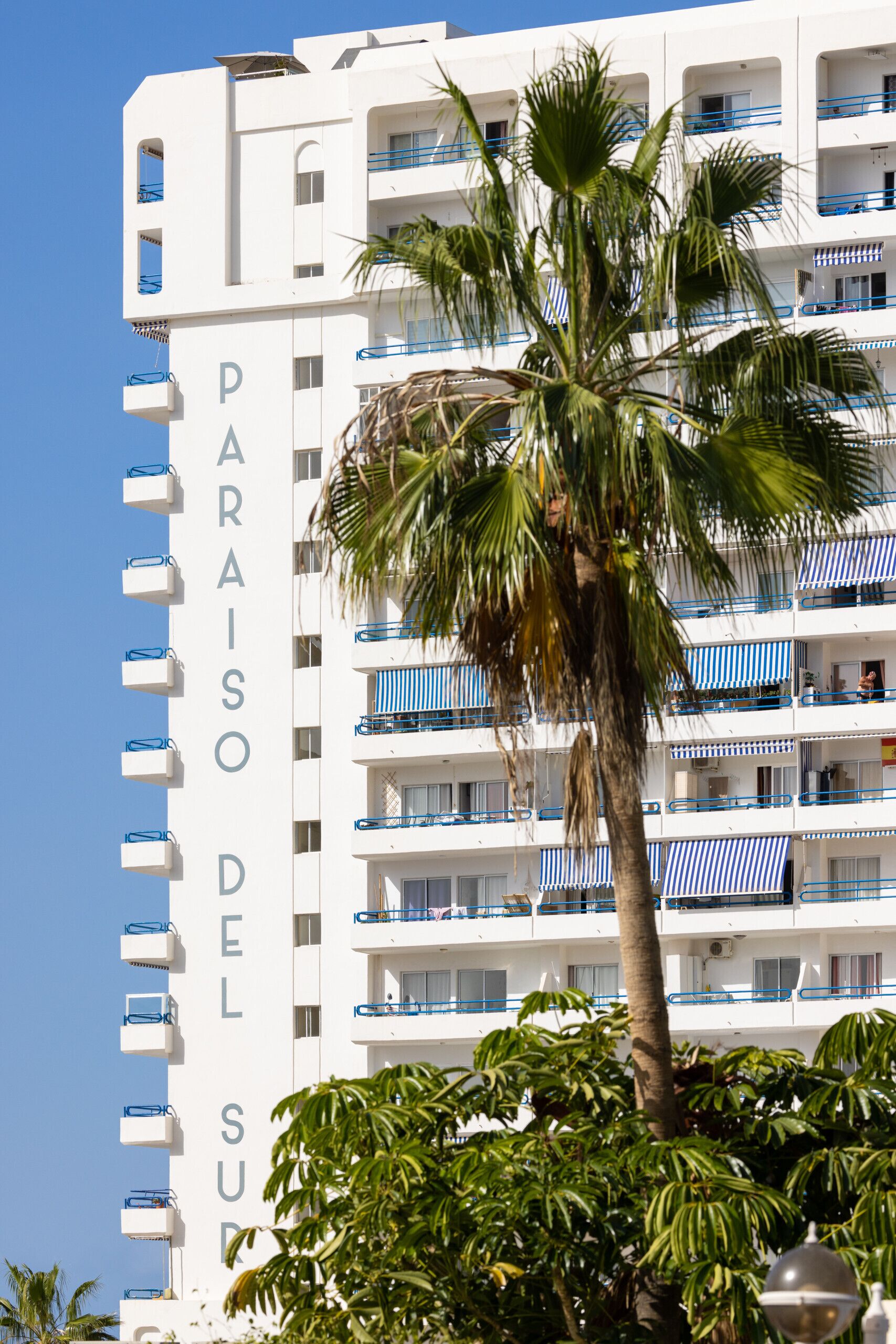 Ein mehrstöckiges Hotel mit Balkonen und einer Palme im Vordergrund.