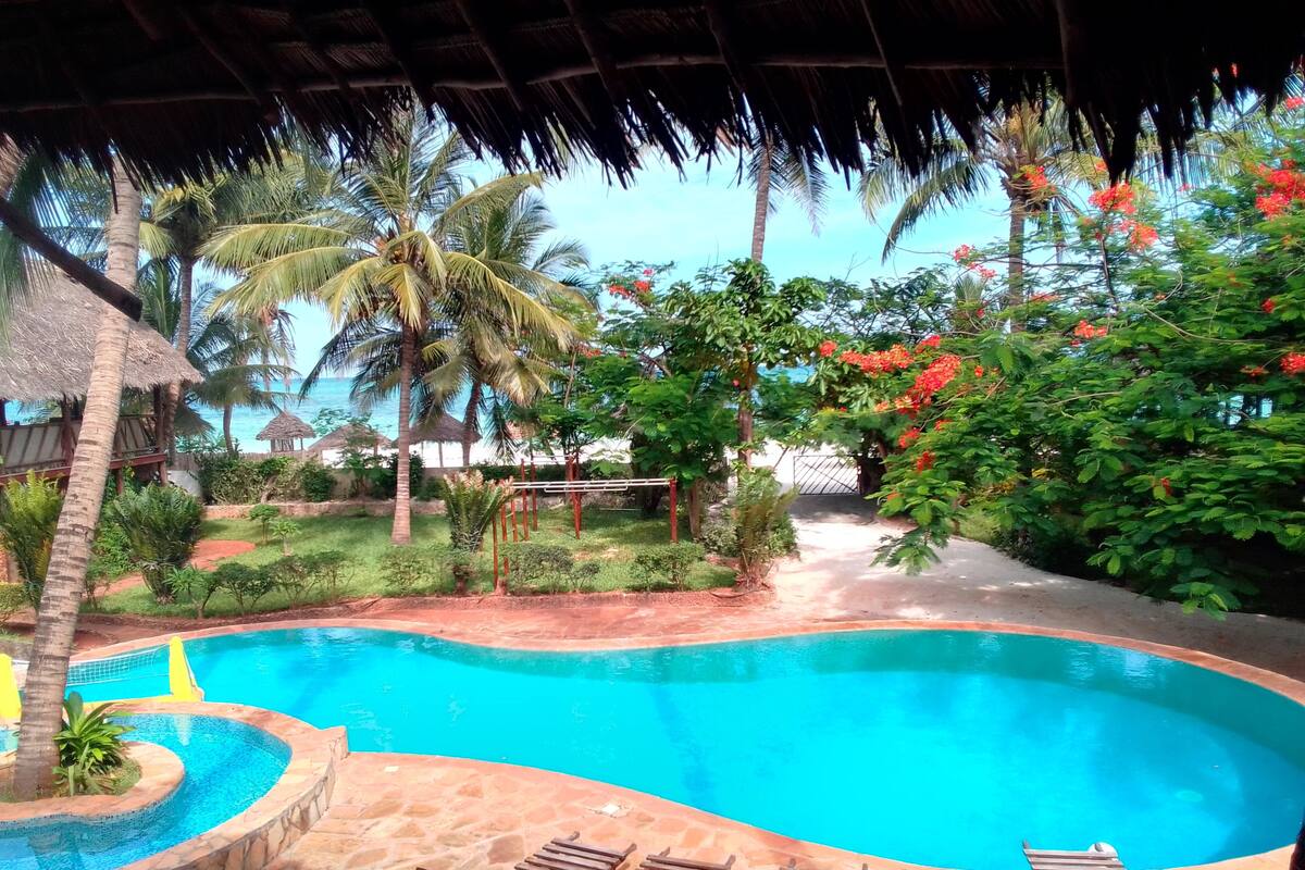 A swimming pool with lounge chairs, surrounded by palm trees and tropical plants.