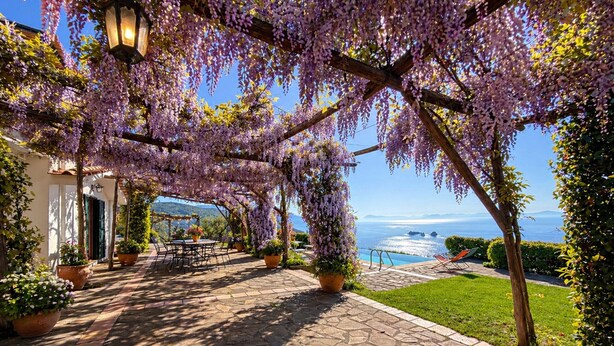 A covered outdoor area with a stone pathway, potted plants, and a view of the sea. - AMORE RENTALS - Villa Raffaella with Private Pool and Sea View (Sant´Agata sui Due Golfi)