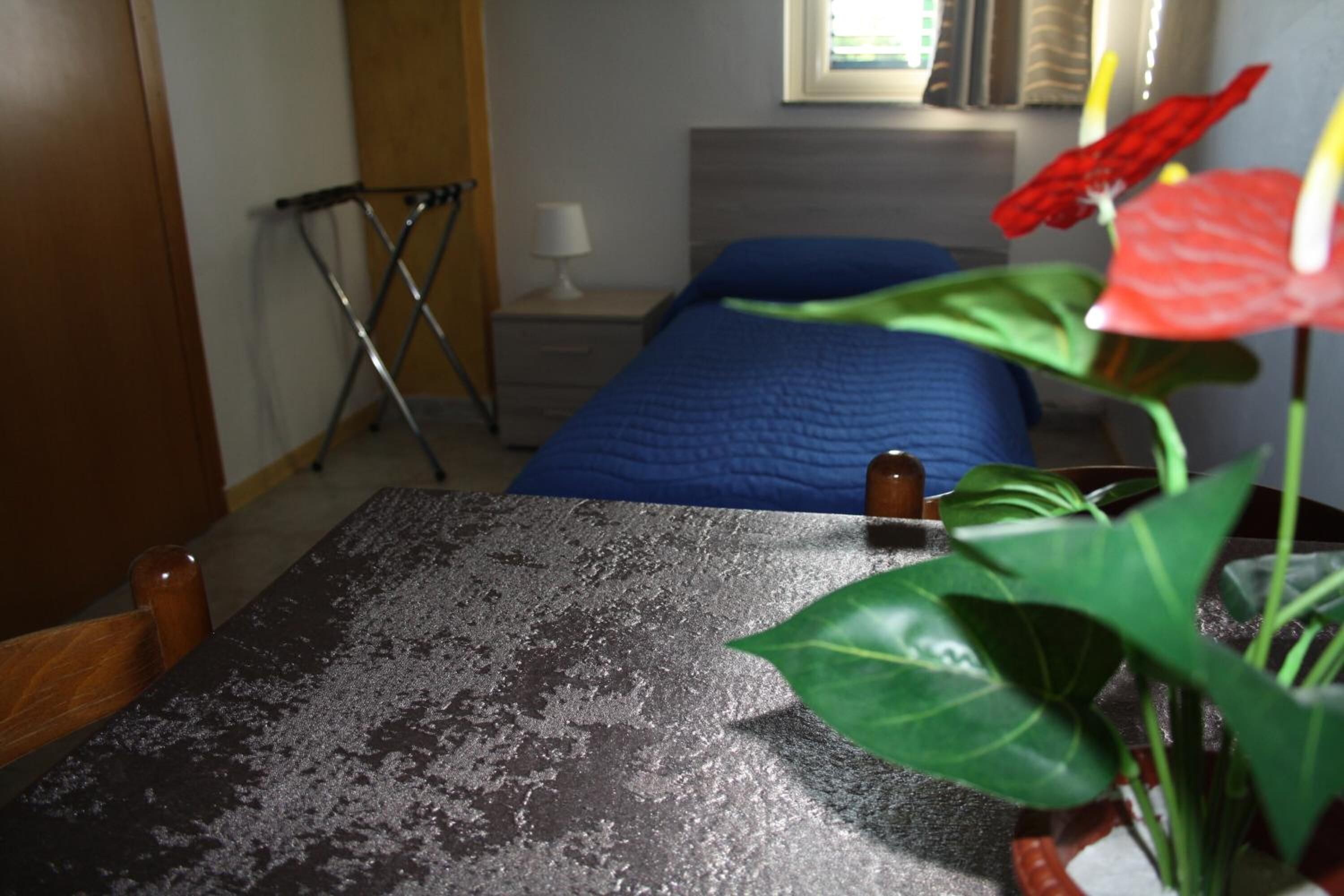 Une chambre avec une couvre-lit bleue, une chaise en bois, une petite table recouverte d’une nappe à motifs, et une plante en pot ornée de fleurs rouges.