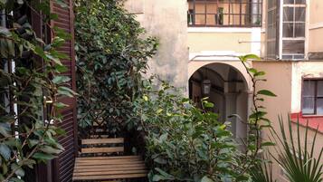 Basic Room | Terrace/patio