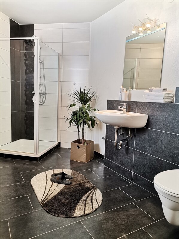 Shower, hair dryer, toilet paper