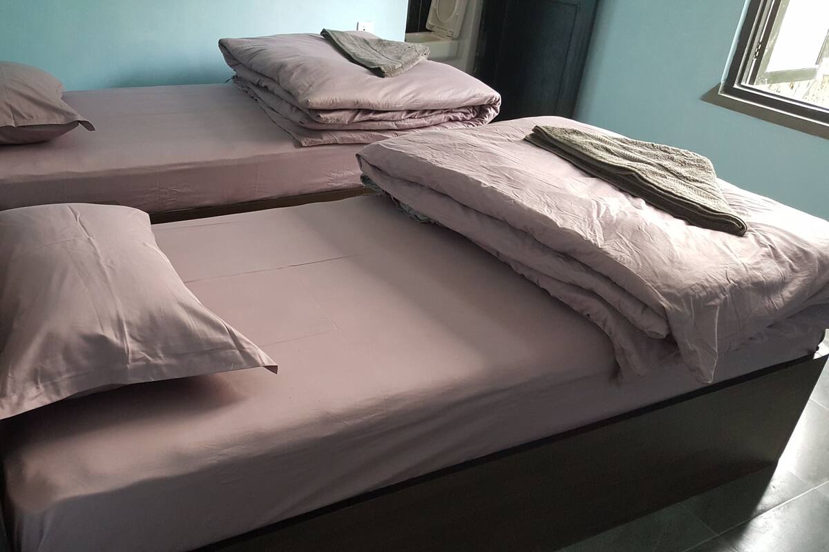 Habitación Confort con 1 cama matrimonial o 2 individuales | Muebles diferentes, escritorio y espacio para trabajar con laptop