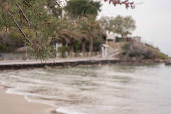 On the beach