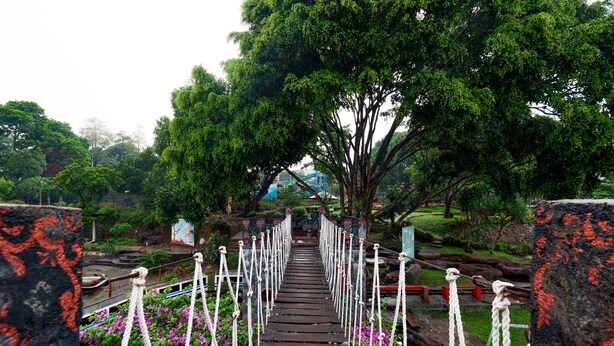 Un puente colgante de madera con cuerdas blancas, rodeado de exuberante follaje y flores rosadas.