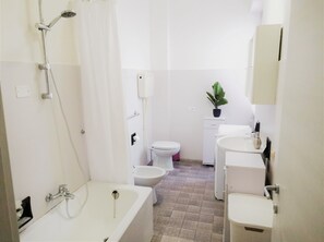 Secador de cabelo, toalhas de banho, sabonete, shampoo