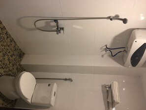 Combined shower/bathtub, bidet, shampoo