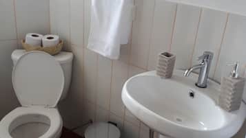 Panoramic Double Room | Bathroom | Shower, free toiletries, towels
