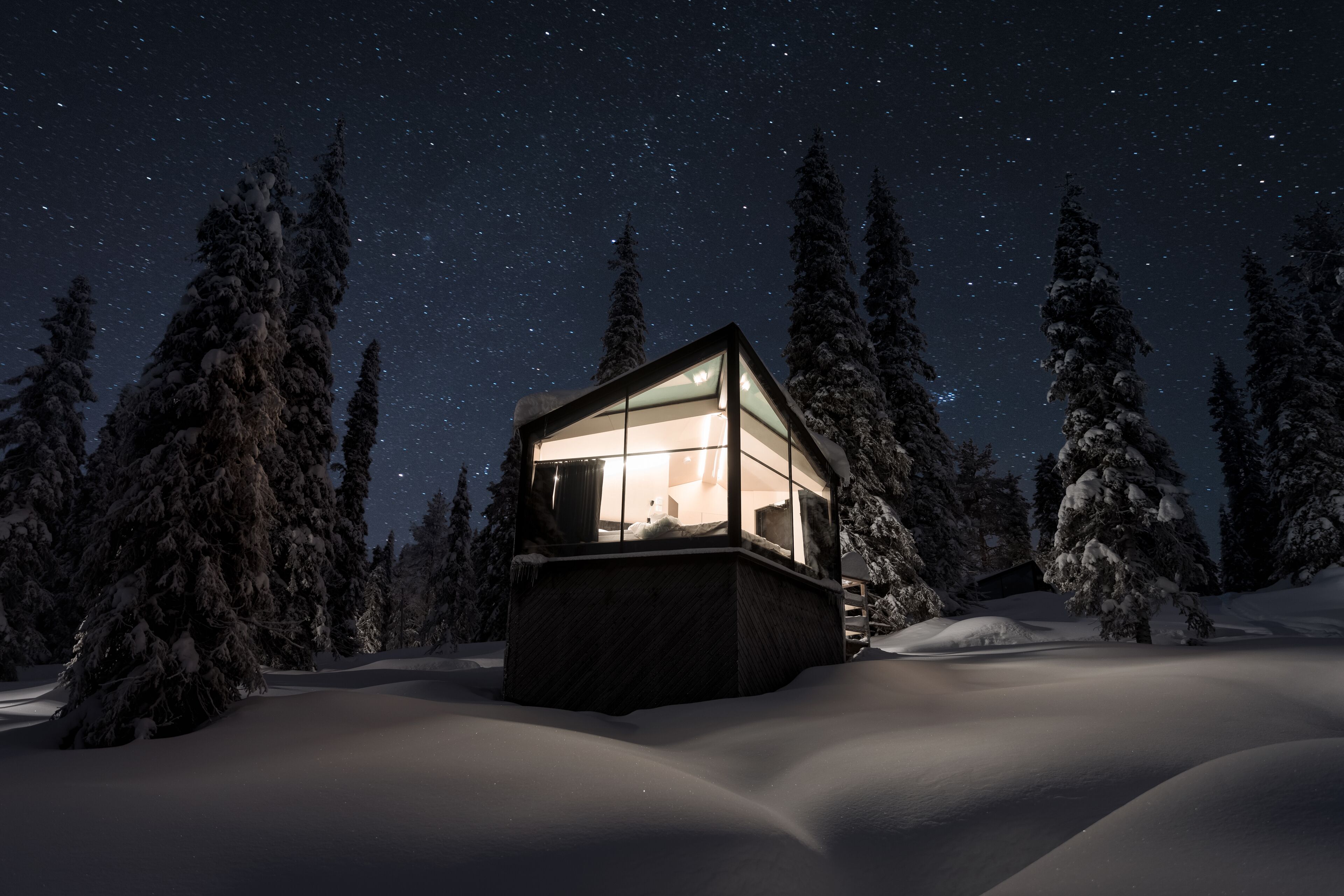 Un paysage enneigé avec un chalet doté d’une façade en verre, entouré de grands arbres chargés de neige, sous un ciel étoilé.