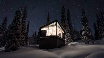 Un paysage enneigé avec un chalet doté d’une façade en verre, entouré de grands arbres chargés de neige, sous un ciel étoilé.