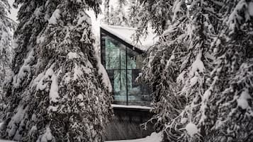 Nature Igloo | Interior