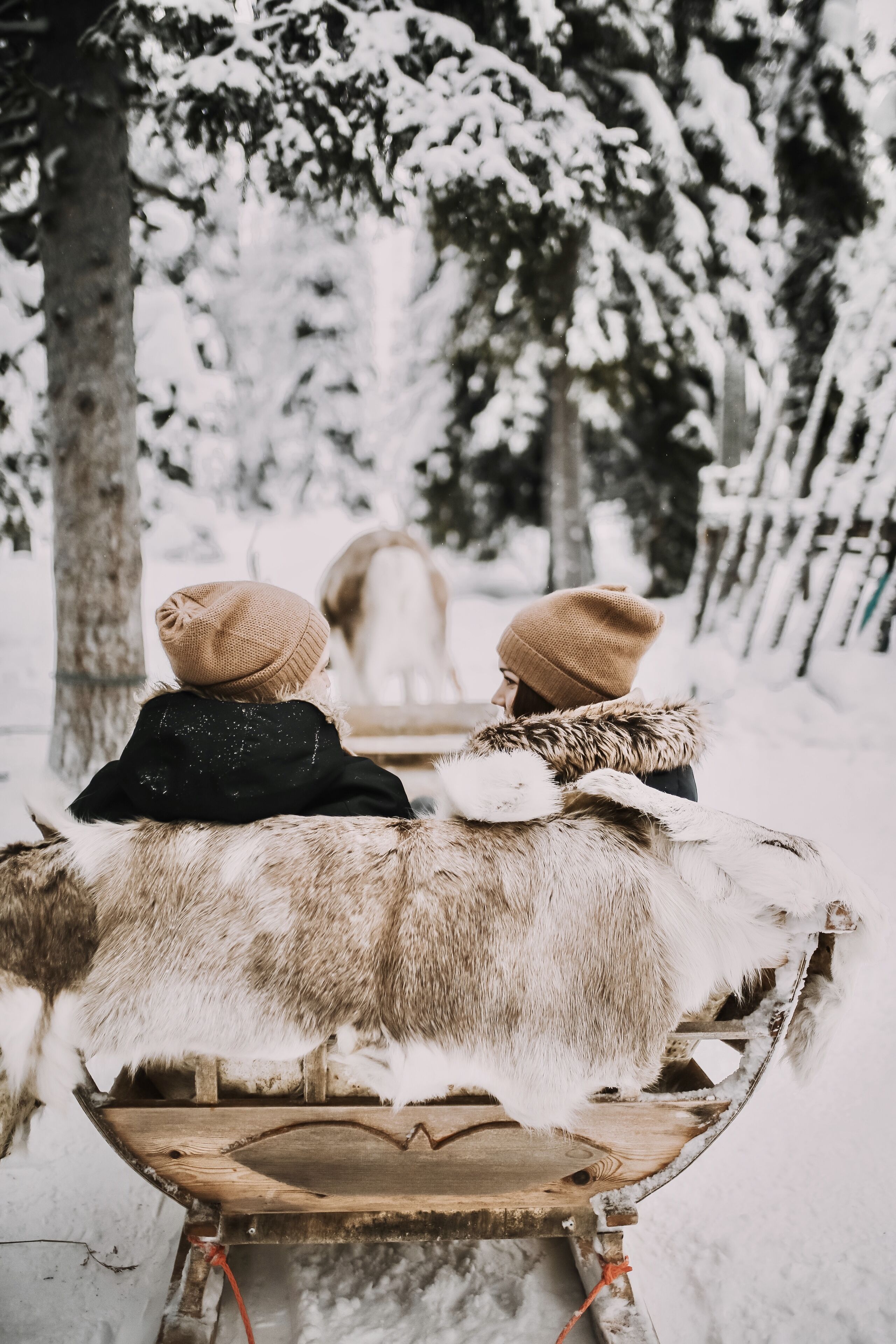 Two people sledding on a wooden sled in a snowy forest.