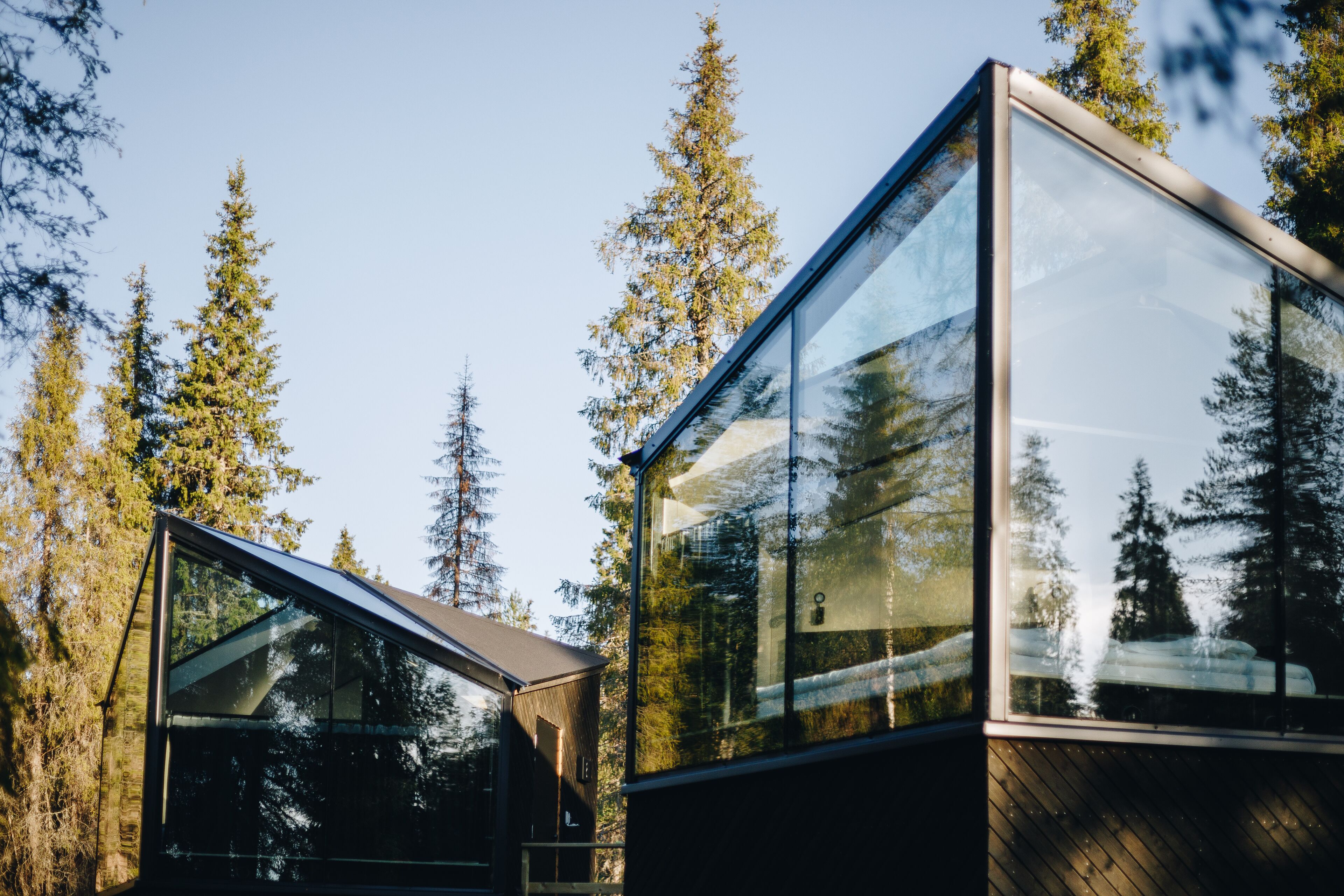 Una casa moderna de vidrio con techo inclinado, rodeada de altos árboles.