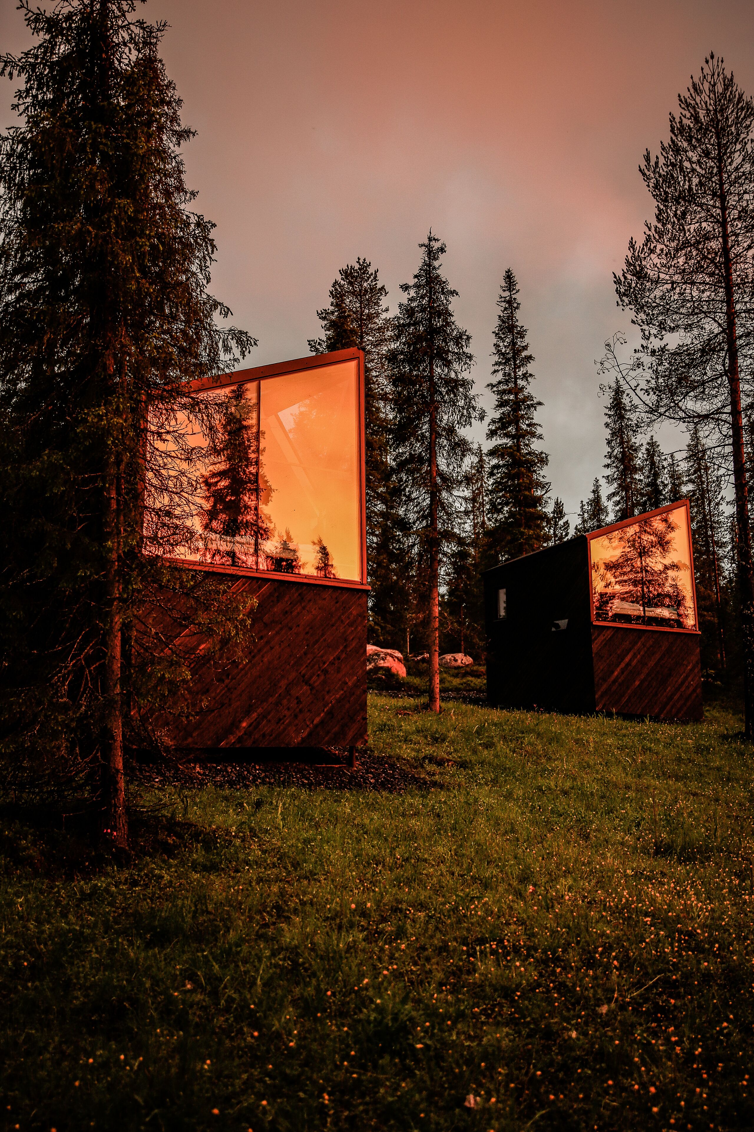 Une cabane dotée de grandes fenêtres qui reflètent un paysage boisé.