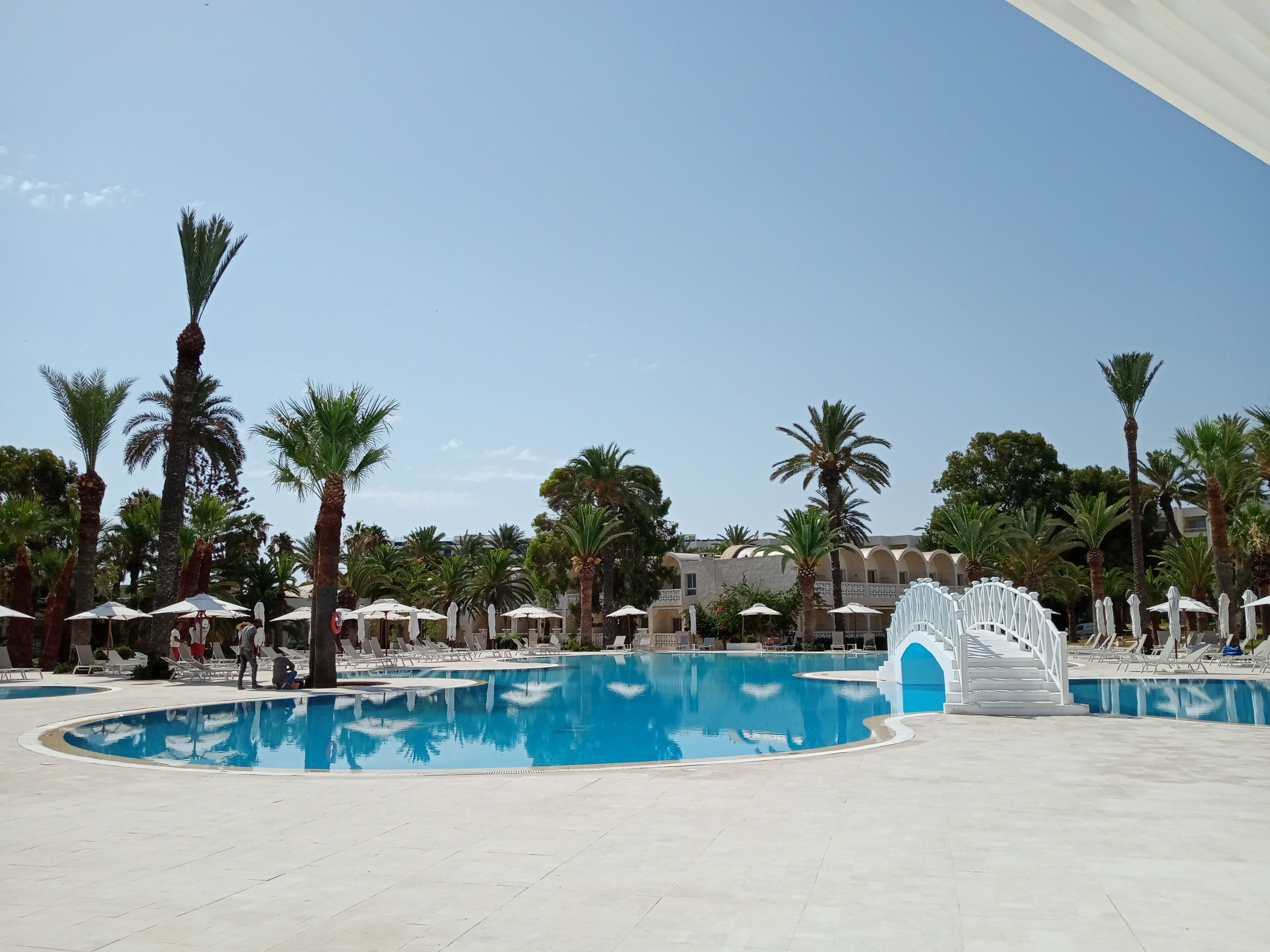 Un área de piscina con palmeras, sillas de descanso y sombrillas.