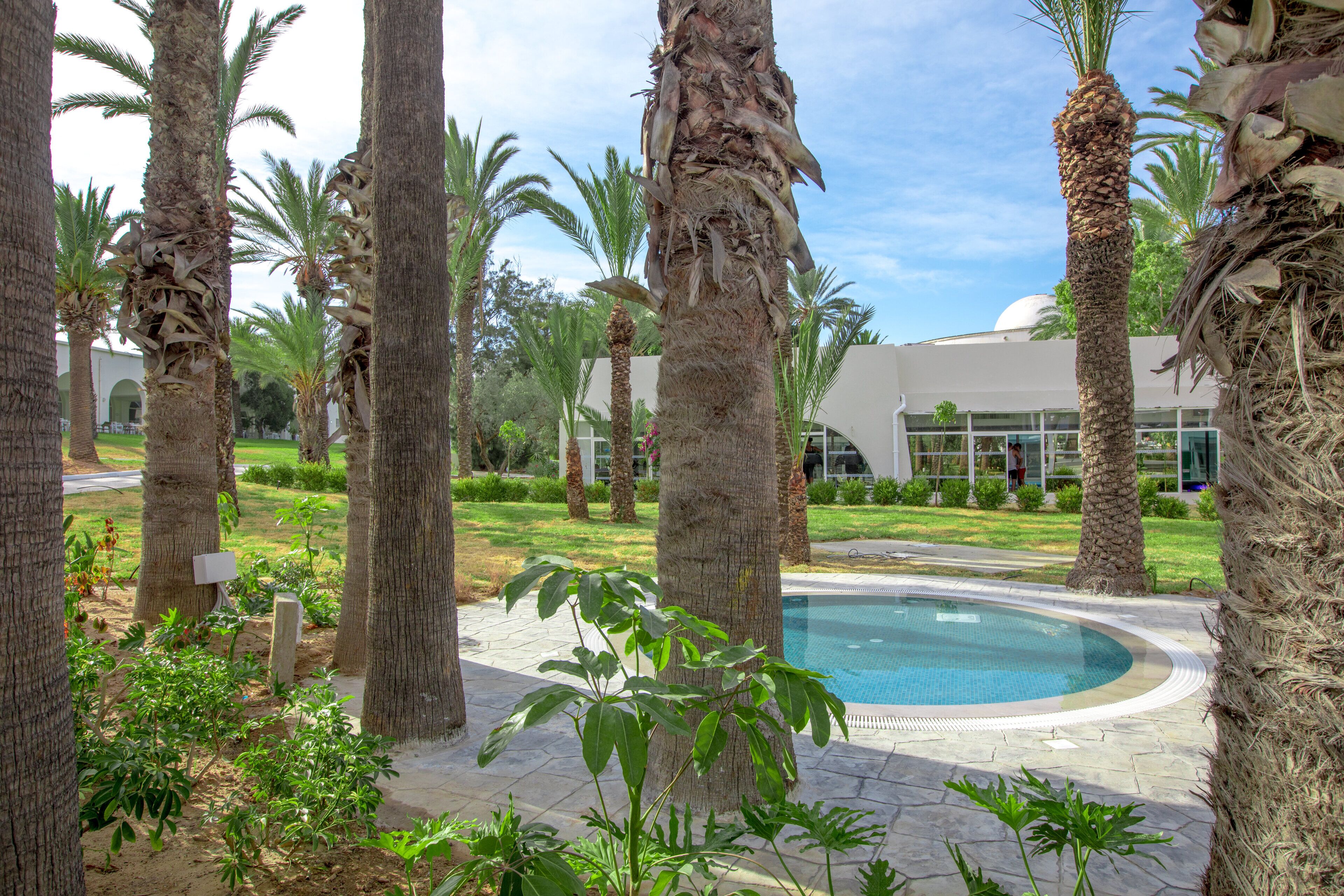 Zona de piscina rodeada de palmeras y un edificio con cúpula.