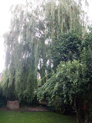 View from room - The Willow (Glastonbury)