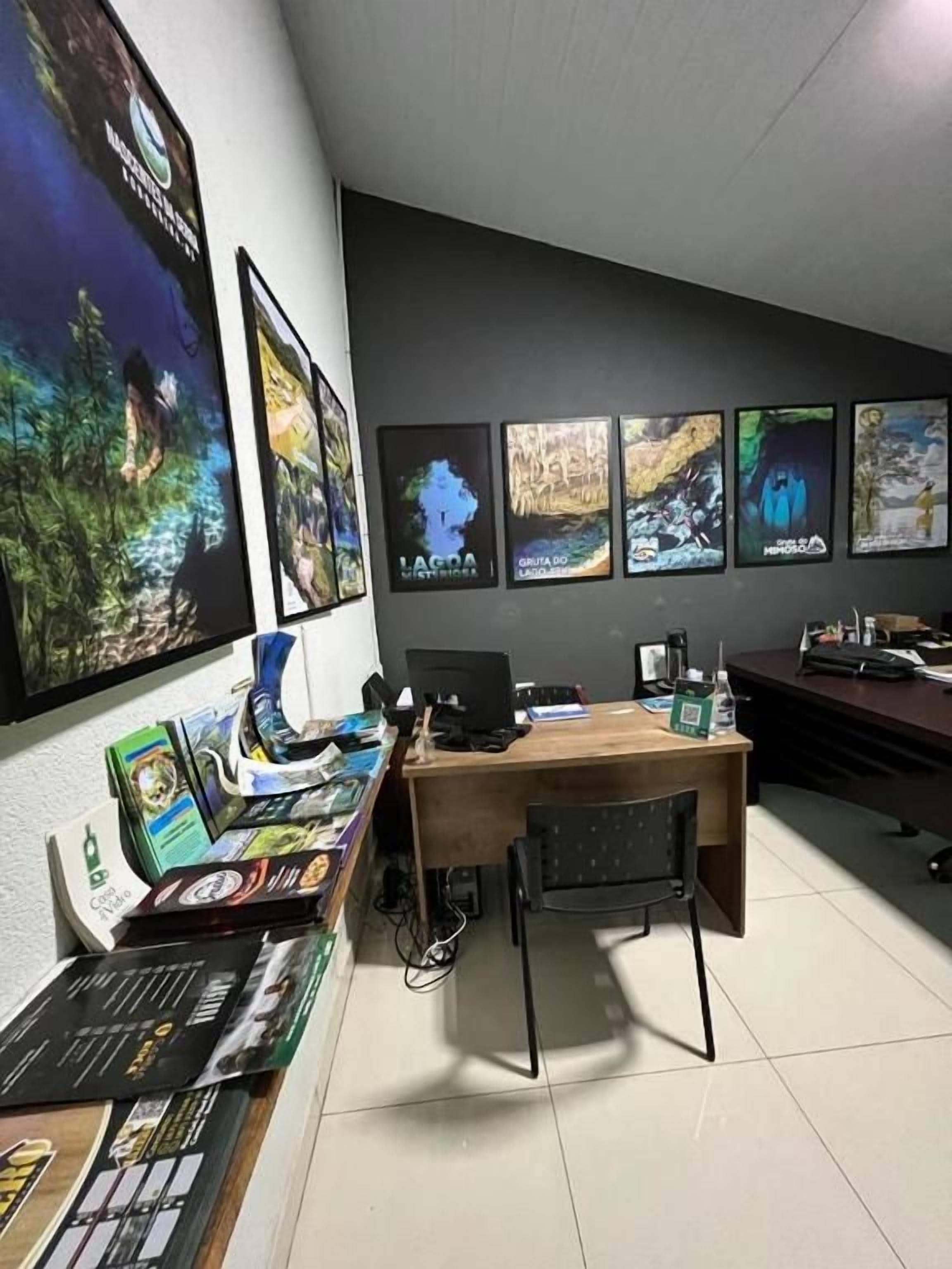 A room with a desk, computer, chair, and wall-mounted posters.
