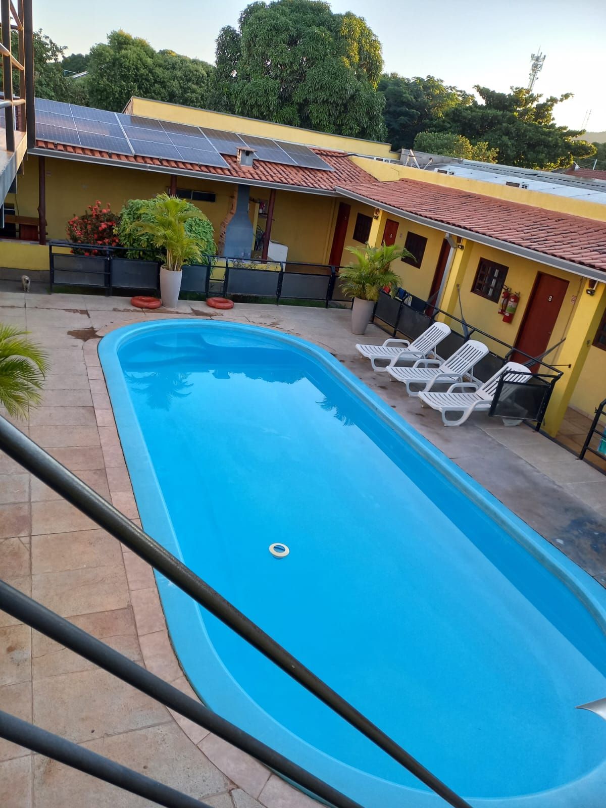 A swimming pool with lounge chairs, surrounded by a building with solar panels and potted plants.