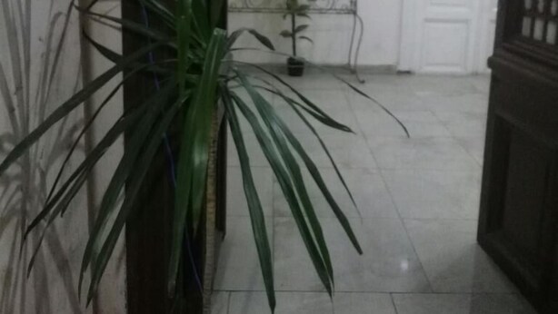 Un pasillo con una planta en maceta, un banco de metal y una puerta blanca.