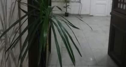 Safary Hotel - Hostel