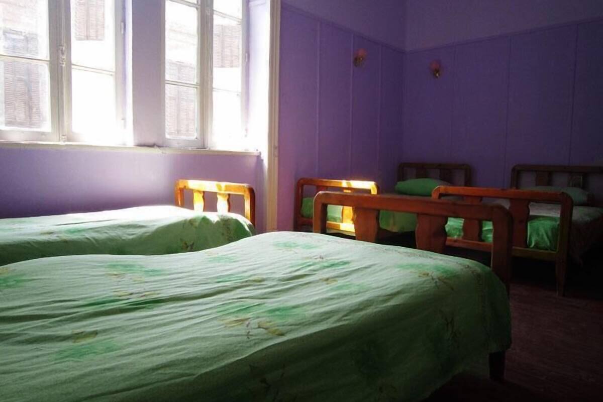 Une pièce avec deux lits en bois, dotés de draps verts, une fenêtre à cadre blanc et des murs violets.