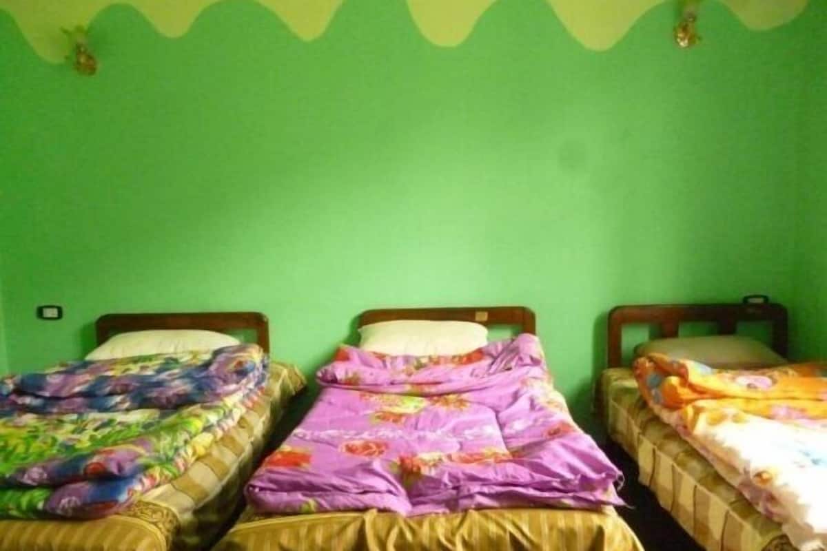 Une chambre avec trois lits simples, placés contre un mur vert, et chaque lit est recouvert d’une couvre-lit à motifs différents.