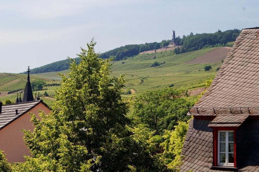 double room | mountain view