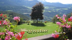 Una vista di una zona erbosa con un albero al centro, circondata da fiori rosa.