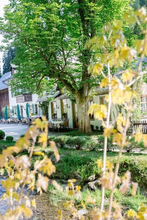 Une cour avec un grand arbre, des sièges extérieurs et un bâtiment à la façade blanche.