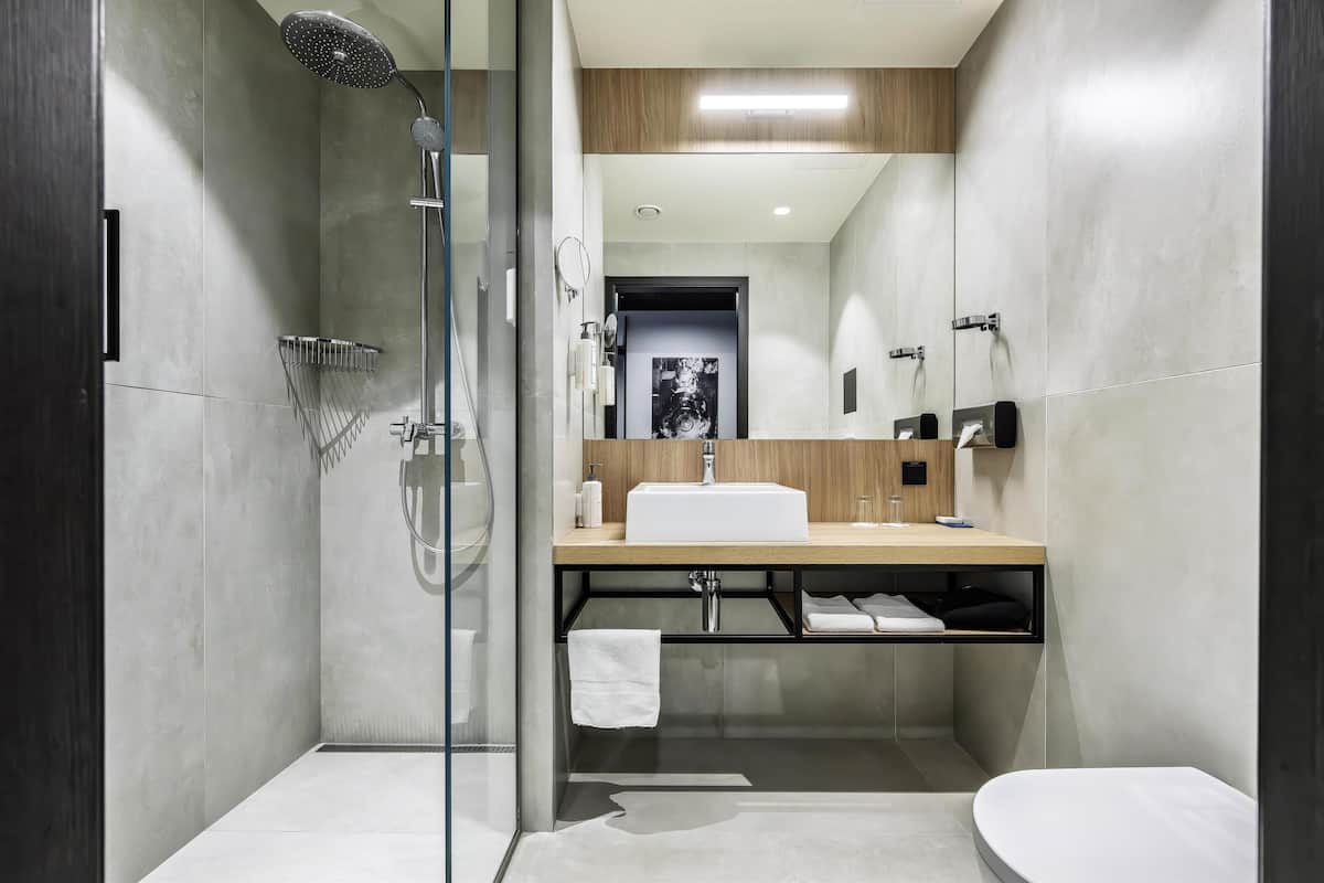 shower, free toiletries, hair dryer, towels