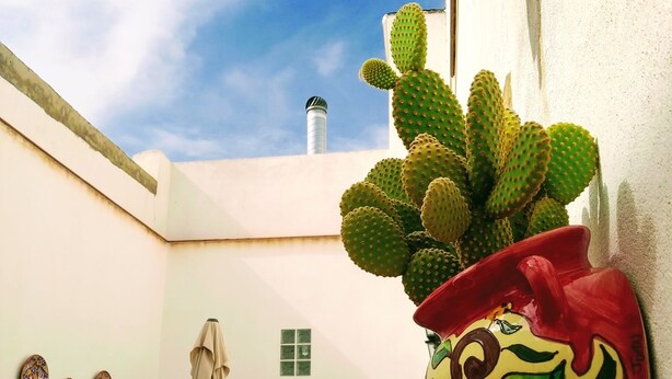 Un patio con una maceta de cactus, una mesa con sillas y una ventana pequeña.