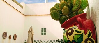 MAGNIFICENT HOUSE WITH FIREPLACE, BARBECUE, LIBRARY, AND PRECIOUS PATIO FOR VELADAS