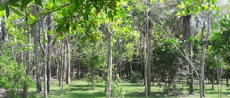 Área de estar