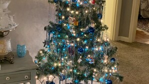 Een kerstboom met blauwe en witte versieringen, geplaatst op een blauw tapijt met witte bies.