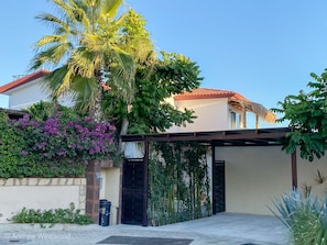 A house with a covered driveway, a palm tree, and purple flowers.