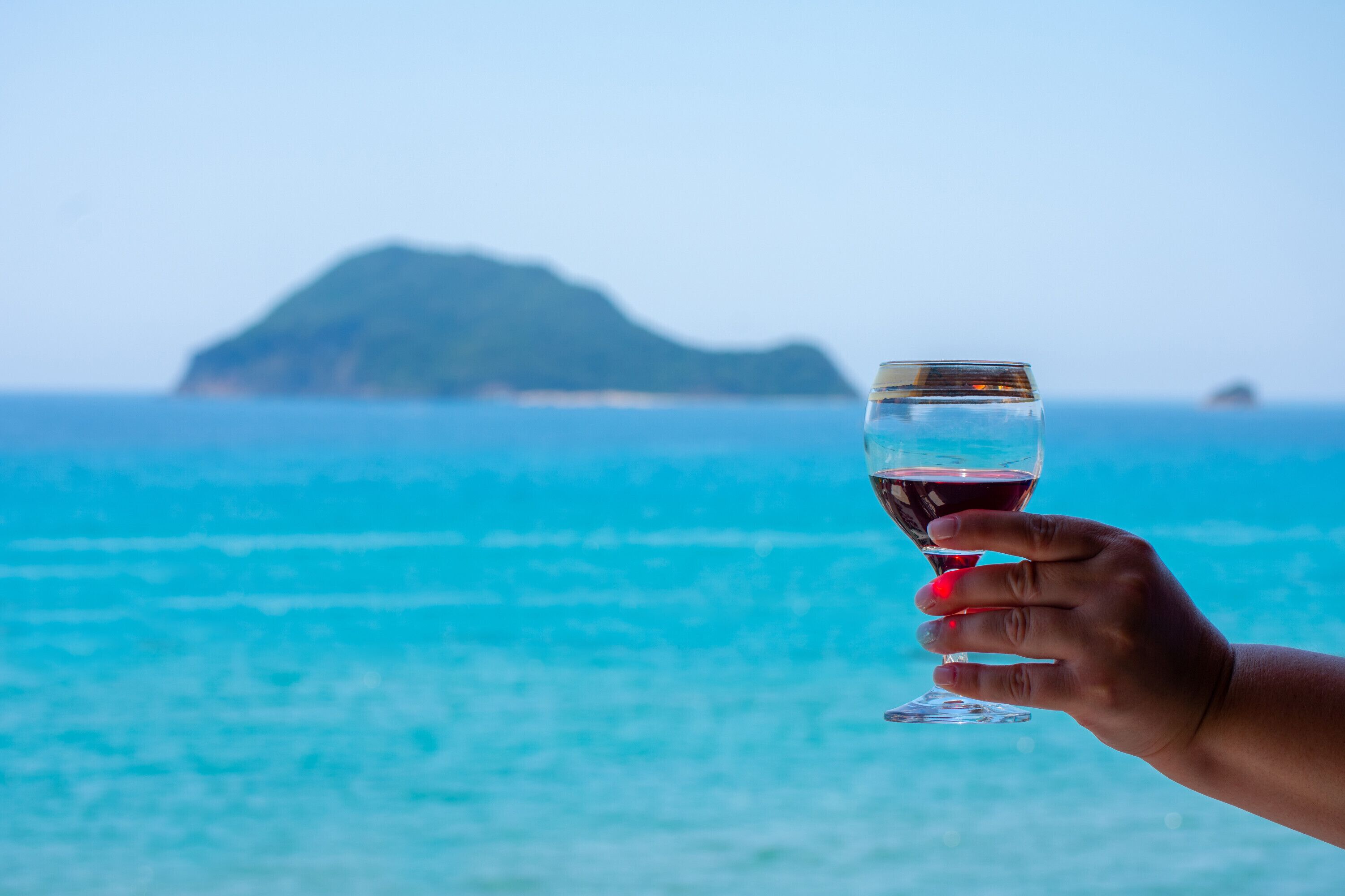 A hand holding a wine glass with a view of the ocean and a distant island.