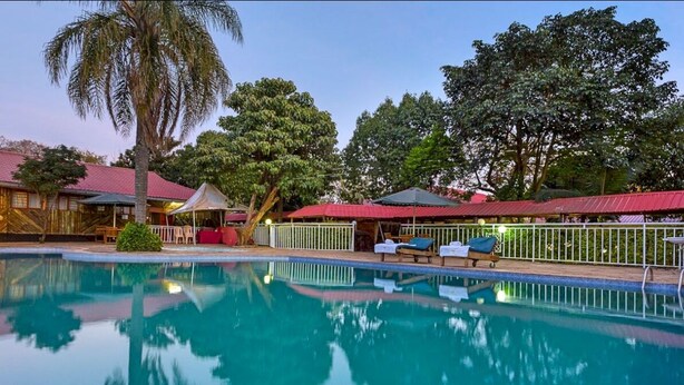 A swimming pool with lounge chairs, a palm tree, and red-roofed buildings in the background. - Milele Resort Nakuru (Nakuru)