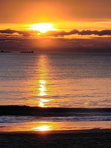 Holiday house in residence