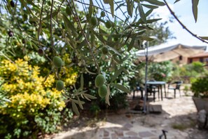 LĂ€genhet - 3 sovrum | Terrass/Patio