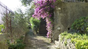 A stone pathway leading to a gate, surrounded by greenery and a metal fence. - Villa with a spectacular view,  in a peaceful location, very romantic, (Positano)
